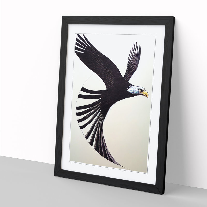 Ralston Flying Eagle - Print, Black Picture Framed Paper, 64cm H x 46cm W x 2cm D, White