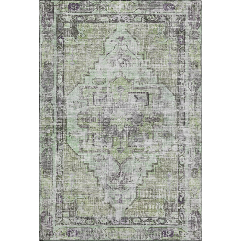 Premium Machine Washable Lucchesi AMF1729 Global Rug, Rectangle 2'6" x 3'10"