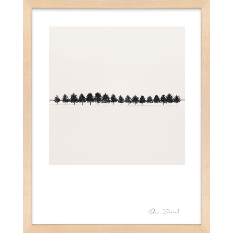 Seventeen Trees Print by Peter Dušek, Brown, 20" H x 16" W x 1.25" D