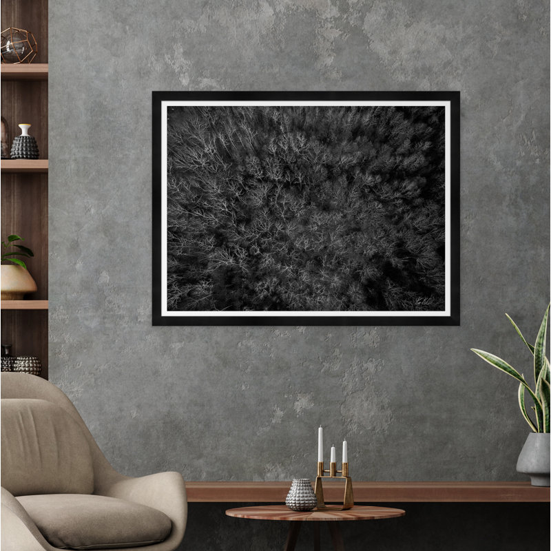 Among Static Pines I Print by Tim Klein