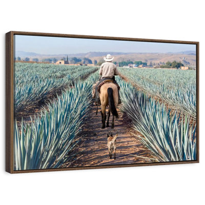 Inspecter la plantation d'agave