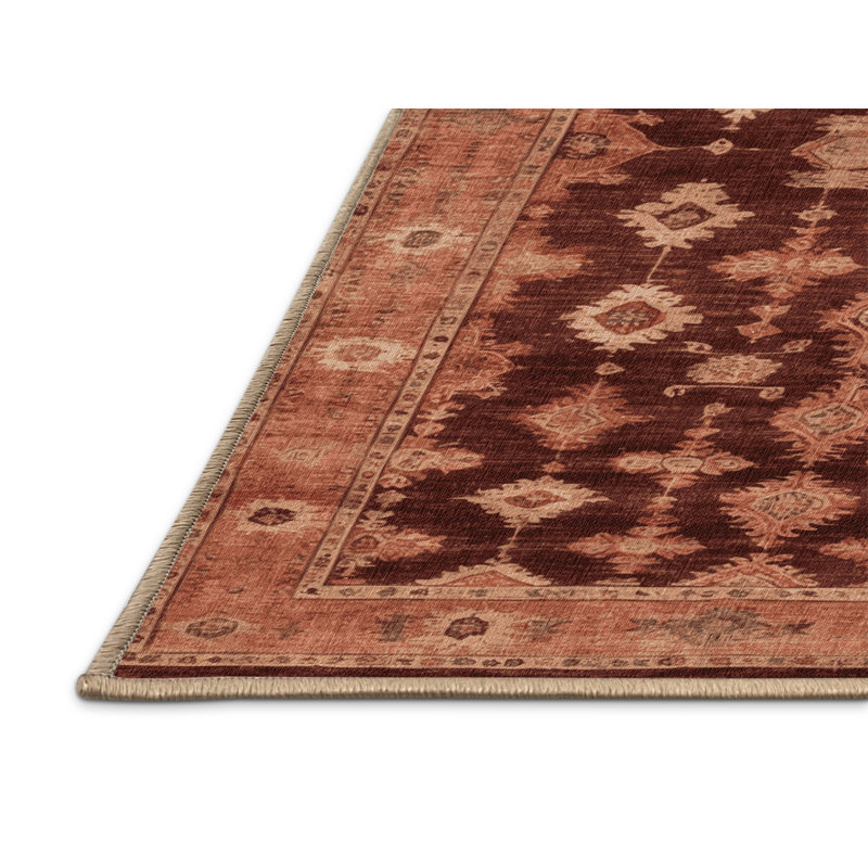 Machine Washable Overdyed Brown Area Rug, Runner 2' x 4'
