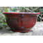 Kylemore Hand-Painted Pot Planter-34359772