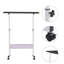 Giacchetto Adjustable Height Steel Standing Desk