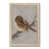 Natural Wood Framed Paper Print