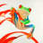 Red-eyed frog - 32"x32" art on canvas