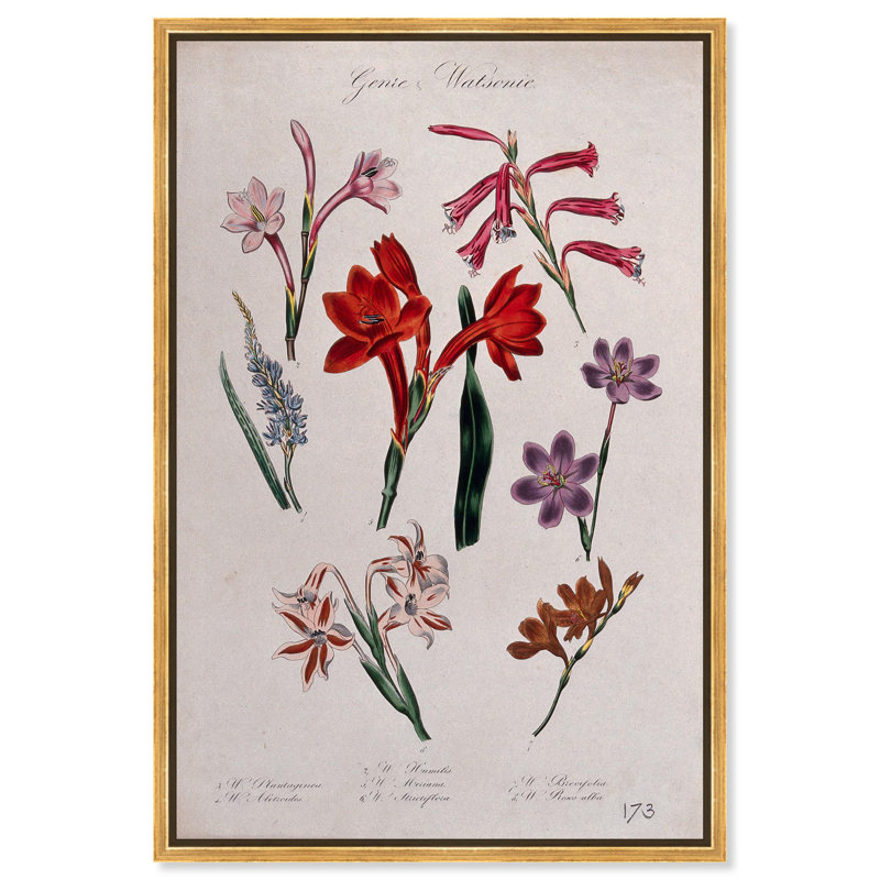 Art Remedy, impressions sur toile, sept plantes, Cadre flottant doré, H 16 po x l 11 po