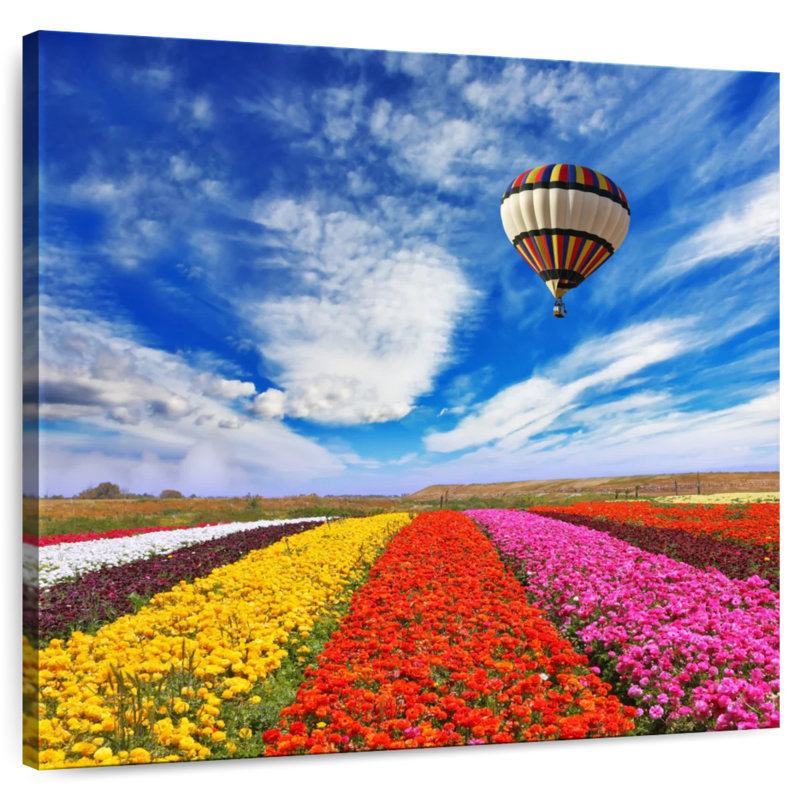 Alvord ballon au-dessus d'un champ de fleurs, H 30 po x l 30 po