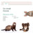 Ozzie Orthopedic Faux Leather Pet Bed-136522384-212700706
