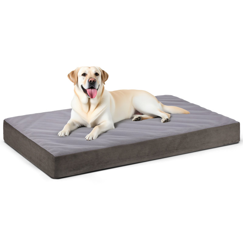 Lit orthopédique pour chien, lits rafraîchissants pour chien 35 po, lit pour animal de compagnie avec cage avec housse lavable amovible, gris