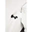Porte-rouleau de papier hygiénique mural en acier inoxydable noir mat Sus304