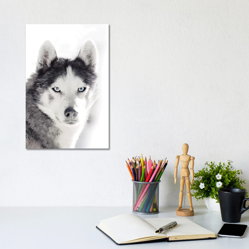 Husky Portrait by Monika Strigel - Wrapped Canvas Print, 20.32 cm H x 30.48 cm W