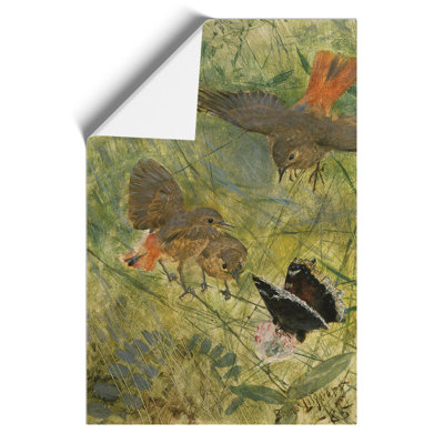 Redstart Birds and Butterflies 1 Piece Painting
