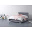 Alfreida Upholstered Ottoman Bed-627055506