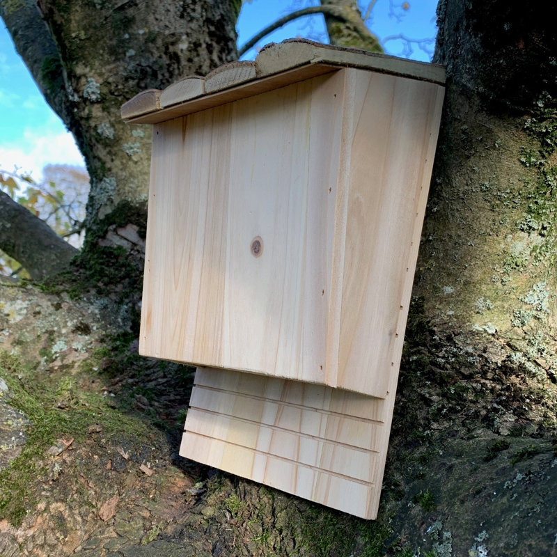 Izaguirre Mounted Bat House