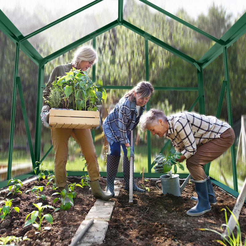 6 Ft. X 10 Ft. Aluminum Polycarbonate Walk-In Greenhouse, Green