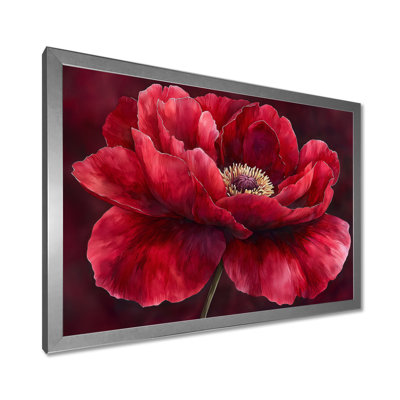 Velours bourgogne pivoine douce symphonie II - pivoines, art mural