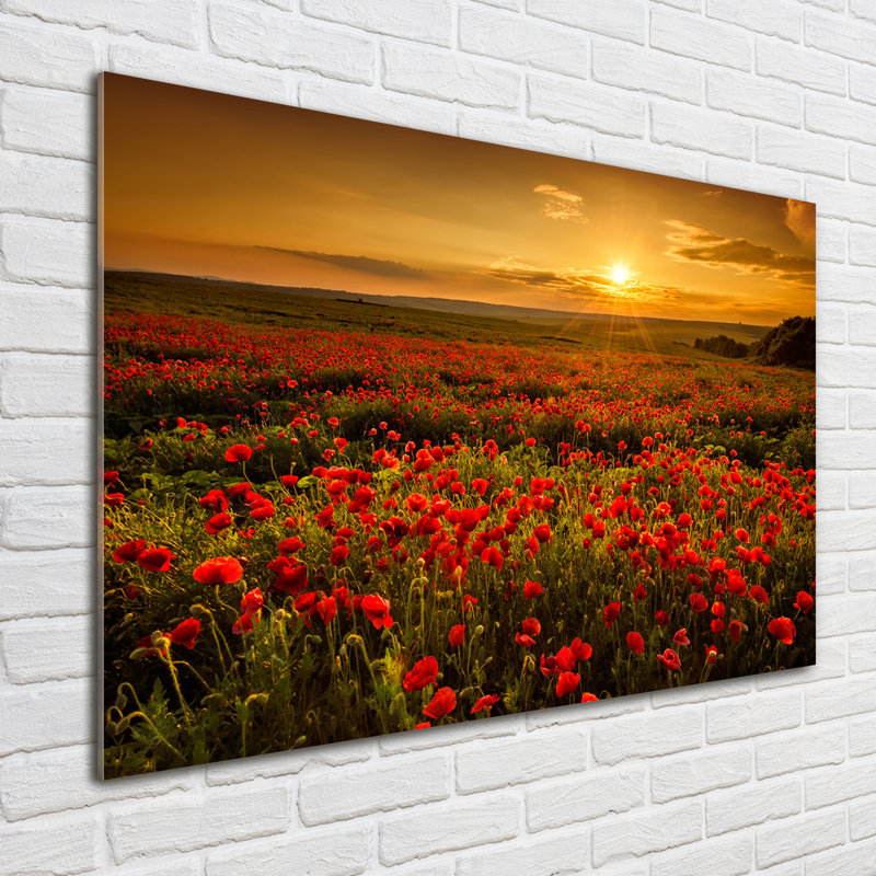 Field Of Poppies - No Frame Print on Glass
