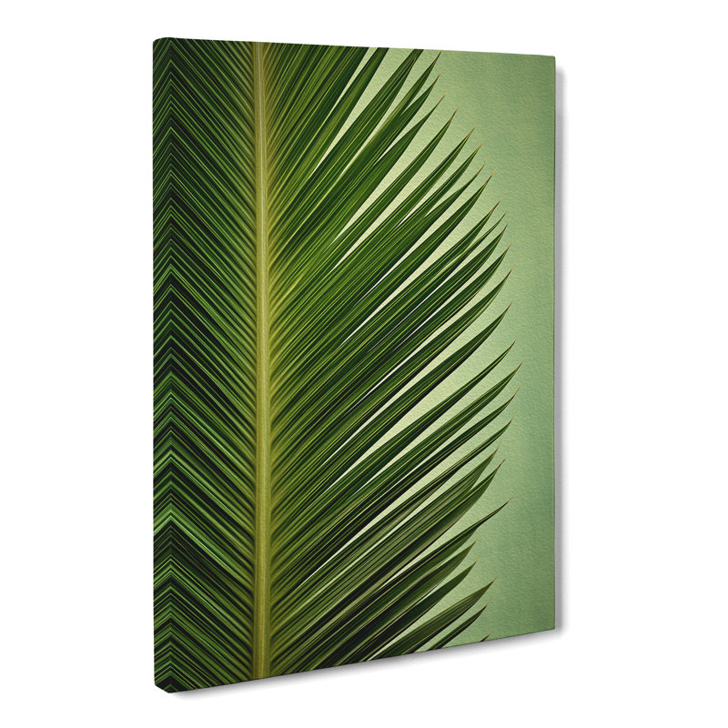 Palm Leaf Symbolism - Wrapped Canvas, 50cm H x 35cm W x 3cm D