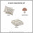 Mushroom Garden Comforter Set Twin/Twin XL