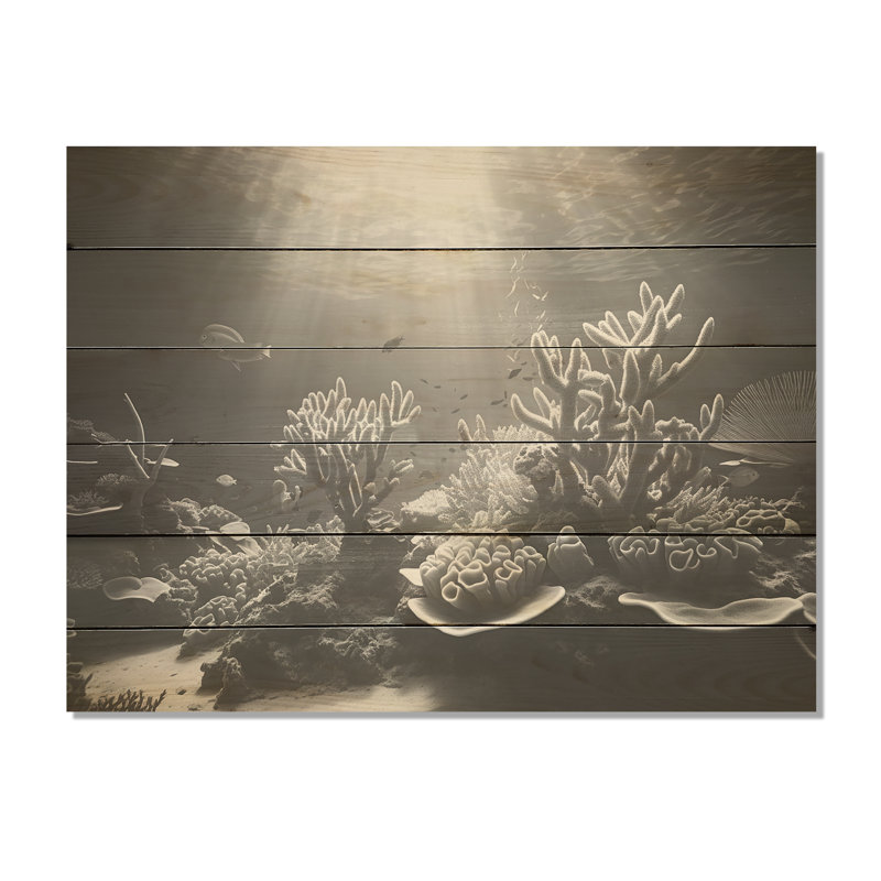«Black and White Coral Ballet - Coastal Coral Under Water Wood, art mural sur bois de pin naturel, H 30 po x l 40 po