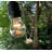 Aimee Outdoor 25 - Bulb 50'' Plug-in String Light