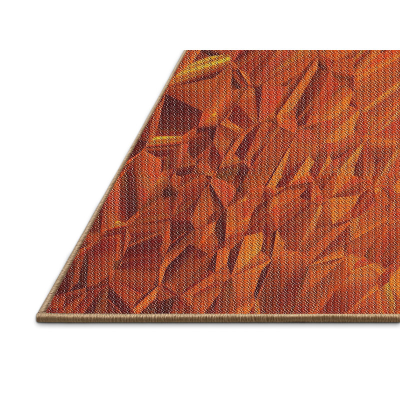 Indoor Rug, Rectangle 5' x 7'