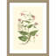 «Small Blush Pink Florals No. 7» par John Miller, reproduction d'art encadrée sur bois