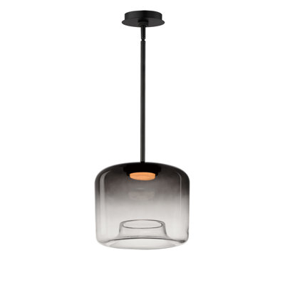 Daysy Single Light Glass Steel Dimmable LED Pendant