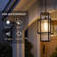 Luminaire suspendu d'extérieur 1 lumière H 19,3 po avec abat-jour en verre nervuré