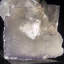 Cristal Coledon