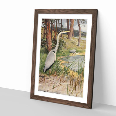 Vintage Grey Heron by Wilhelm Kuhnert - Framed Print