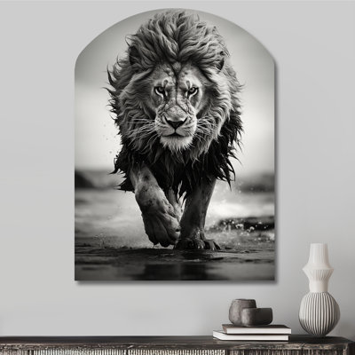 Black And White Lion Running In Africa - Asymmetrical Lion Metal Wall Art, Arch Metal Wall Sculpture Print