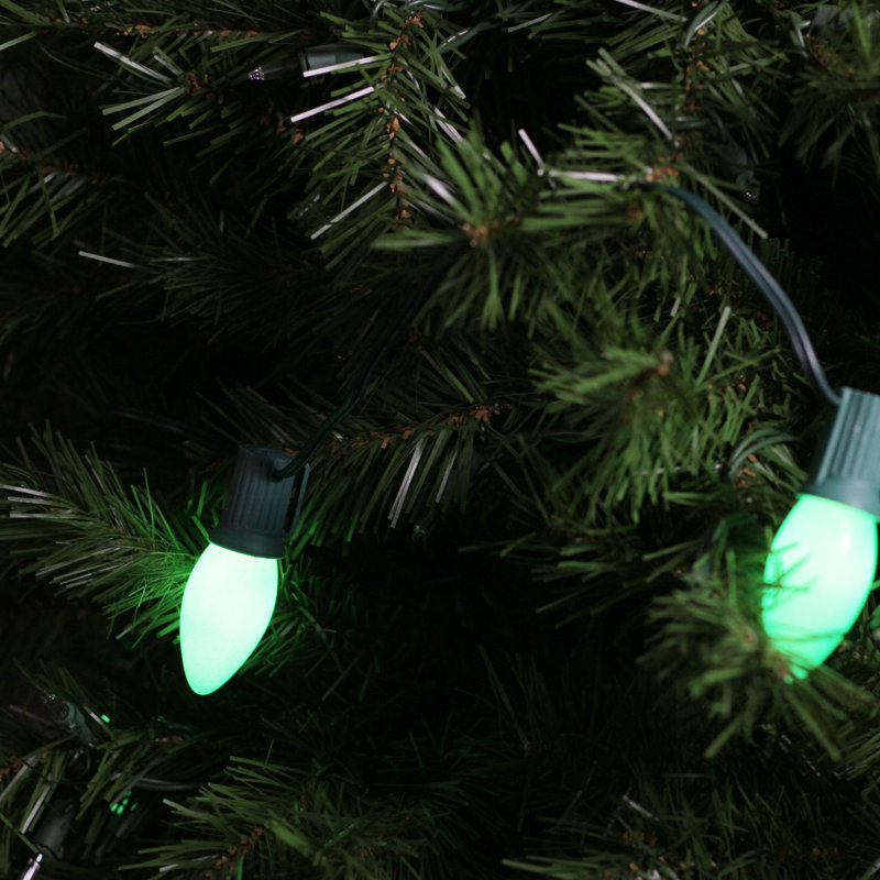 25-Count C9 Christmas Light Set - 24ft Green Wire, Green