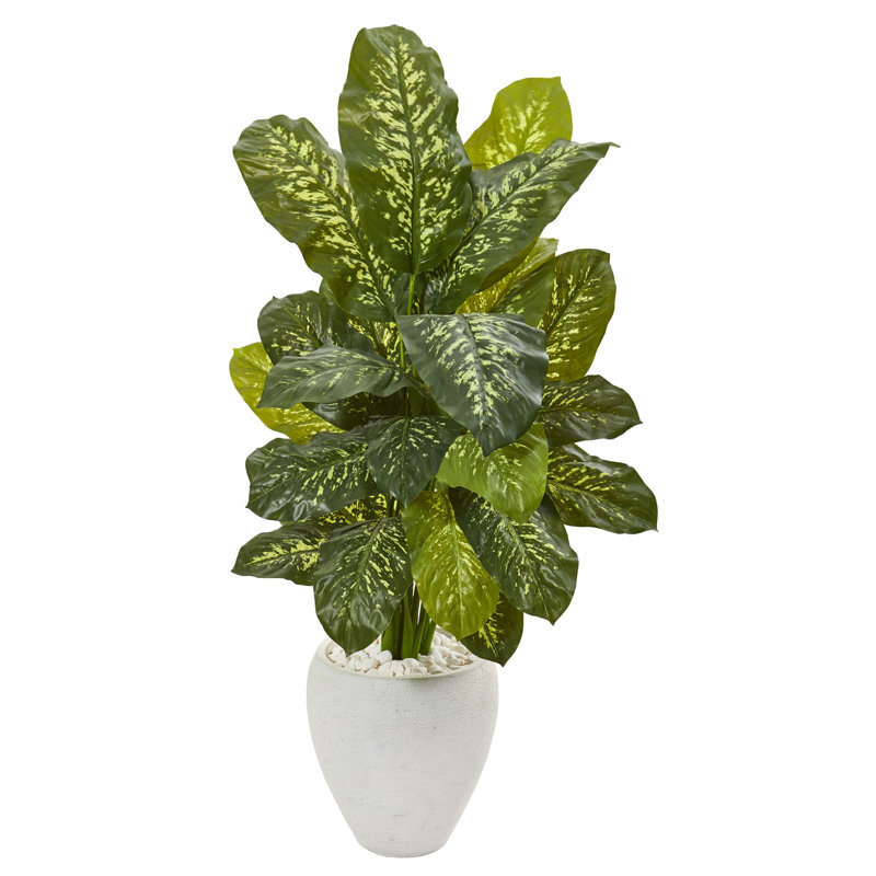 Dieffenbachia Silk Plant in White Planter