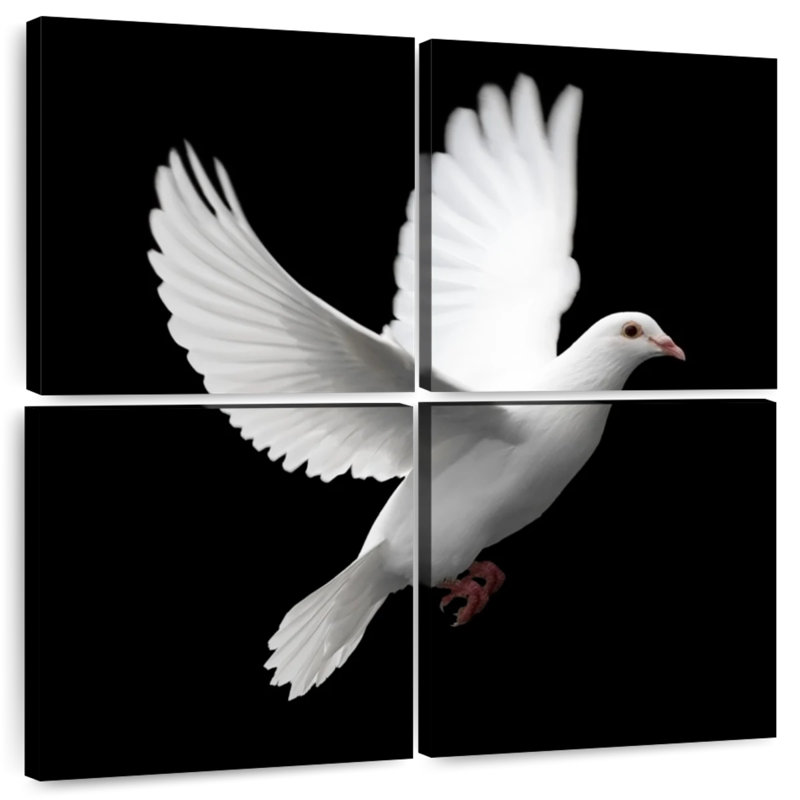Brampt White Dove, 45" H x 45" W