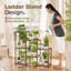 Plant Stand