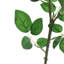 Silk Rose Arrangement-1250838354-1250838355