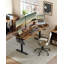Ashala Adjustable Metal Base Standing Desk with Power Outlet-2004772031-2006226146