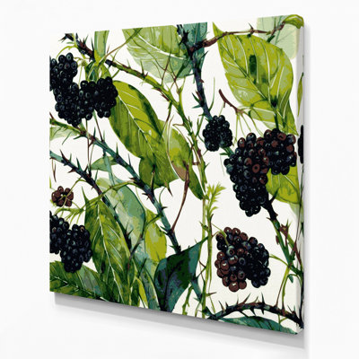Art mural sur toile Botanical Blackberry Canes
