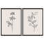 «Morning Glory Flowers», art moderne minimaliste, impressions encadrées, affiches, petit art mural de salle de bain-104788184-104788188