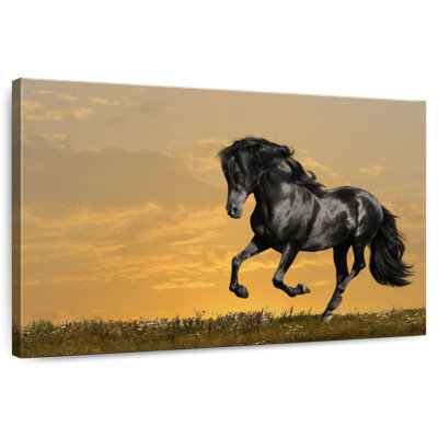 Brampt Black Horse At Sunset