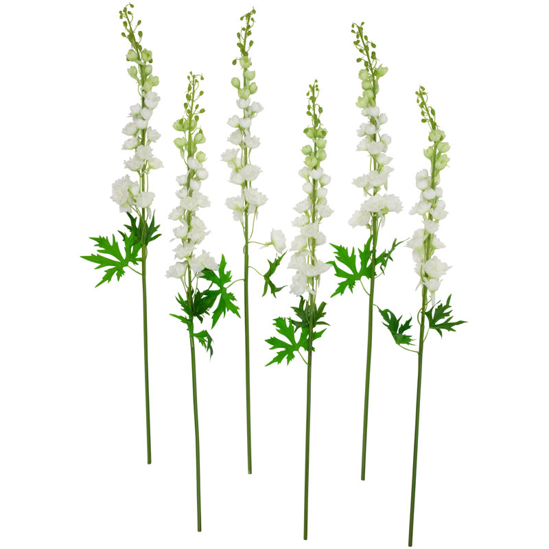 Tiges Delphinium, Blanc