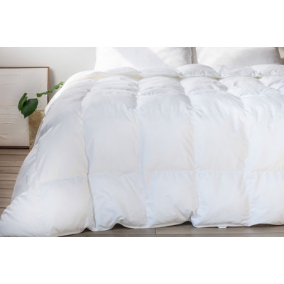 Extra Warm Down Alternative Duvet Insert