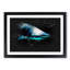 Shark In The Shadows - Picture Frame Graphic Art-56876799-56876801