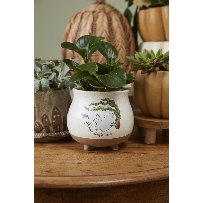 Optimistic Ghost Footed Pot 5.5"x 5", 5" H x 5.5" W x 5.5" D