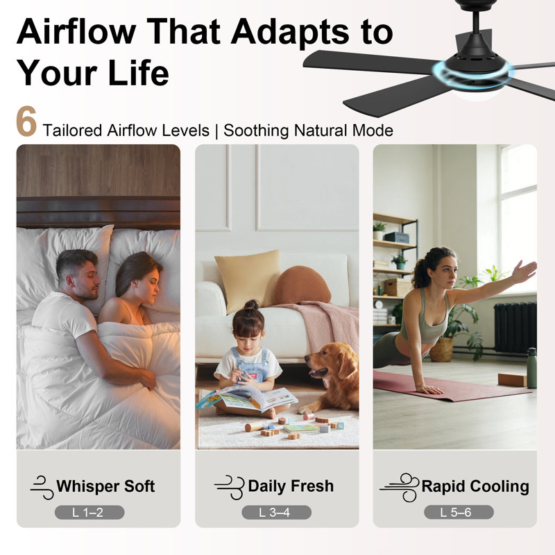 48" Smart Ceiling Fan with Light Kit Included, WiFi/APP/Voice/Remote, Dual-Sided 5-Blade High Airflow Low Noise 6-Speed, Reversible Airflow DC Motor