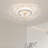 18.5 Inch Ceiling Fan With Light