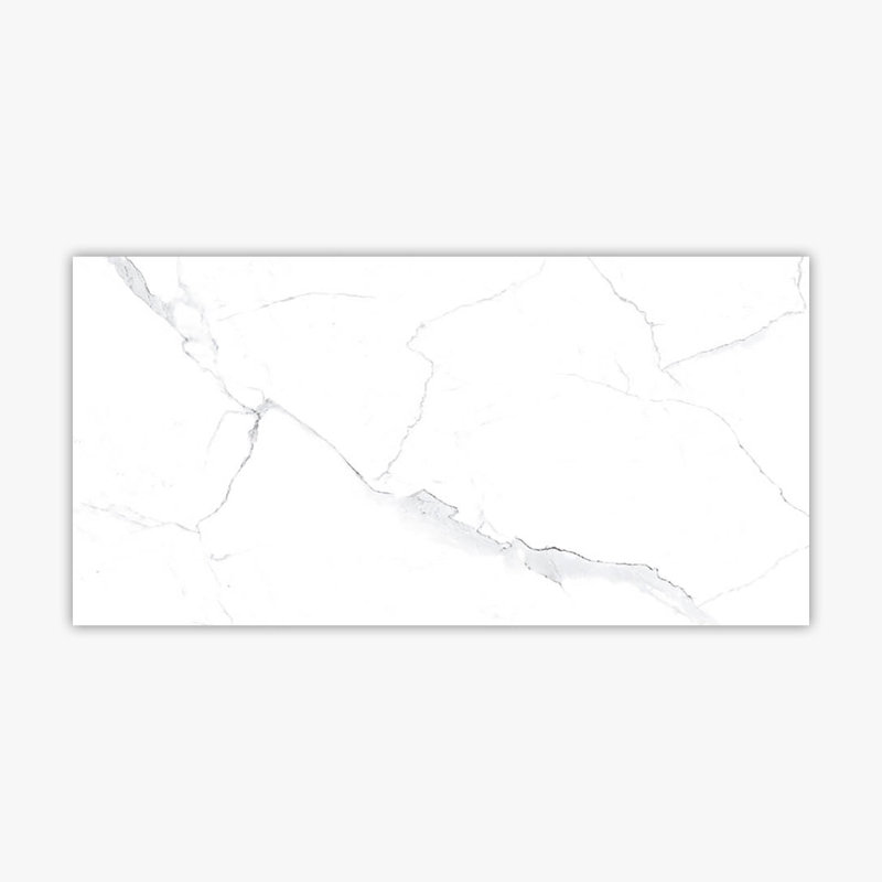 Carrelage aspect marbre 12 "x 24"