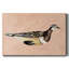 Toile tendue Feathered Friend IV-Gallery-1596159369